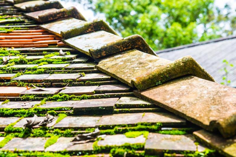 Entretien de toiture &agrave; Pusey : guide complet et conseils